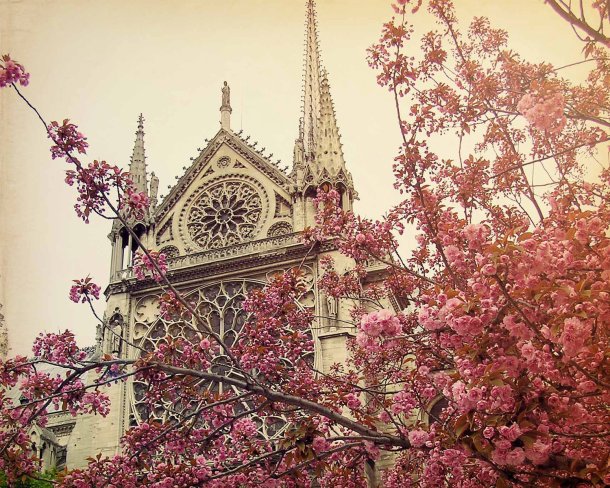 springtime in paris